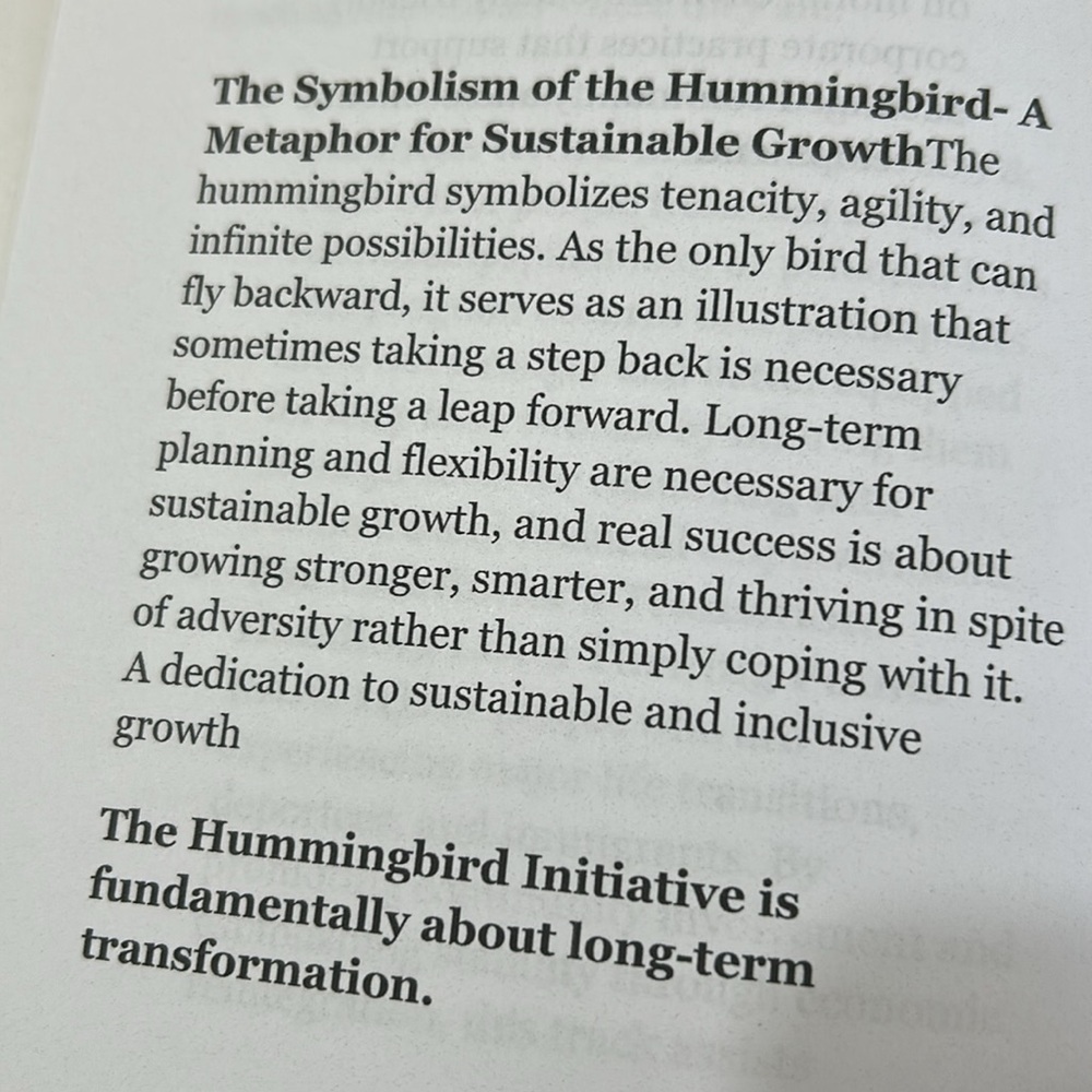 The Hummingbird Strategy  A.R.I.S.E.  By Allison A  Johnson - Picture 11 of 17